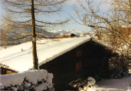 Berghütte 5