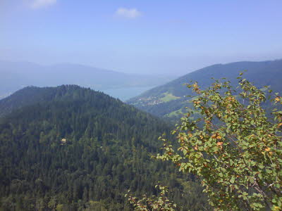 DSC00042